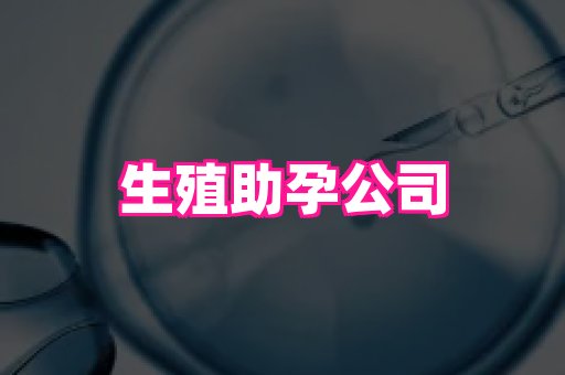 长春助孕网站 4